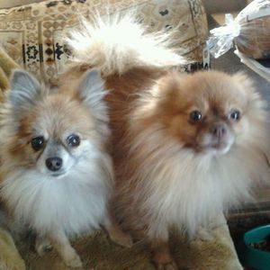 Meet your Posher, Celeste rochelle